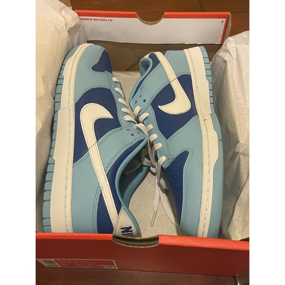 NEW Nike Dunk Low Retro ‘Argon’ (2022) DM0121-400 Men’s Size FREE FAST SHIPPING - Picture 4 of 5